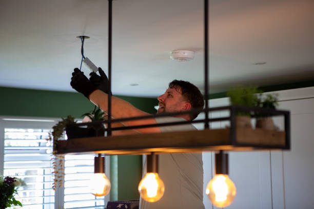 Best Generator Installation Services  in Toulon, IL