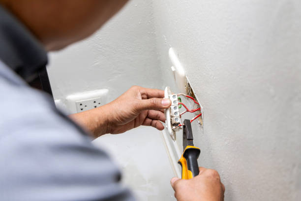 Best Ceiling Fan Installation Electrician  in Toulon, IL